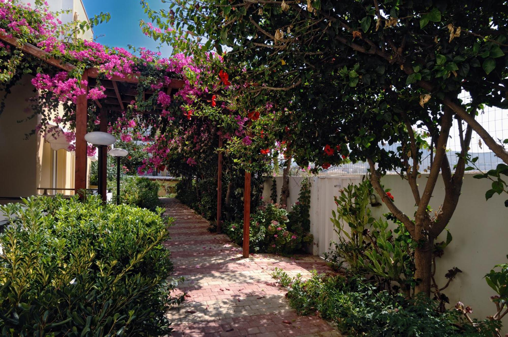 Golden Bay Boutique Hotel & Bungalows Kokkini Hani Rum bild
